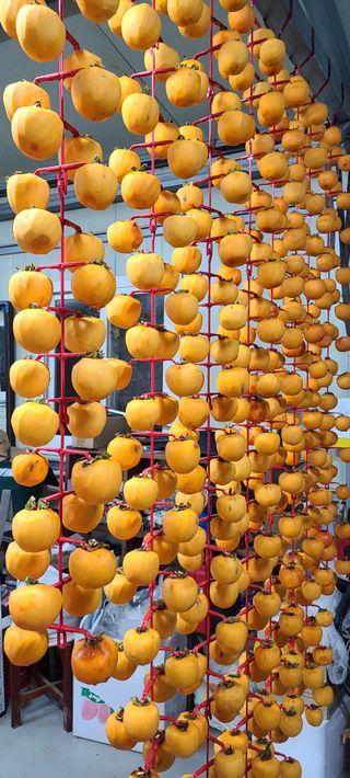 풀잎사랑님의 [팜춘문예] 짧은 시 쓰기 · 참여글 작성글 사진