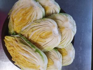 김기자(흰구름농원)님의 작성글 사진