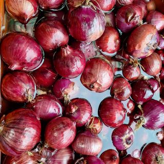 희원님의 작성글 사진