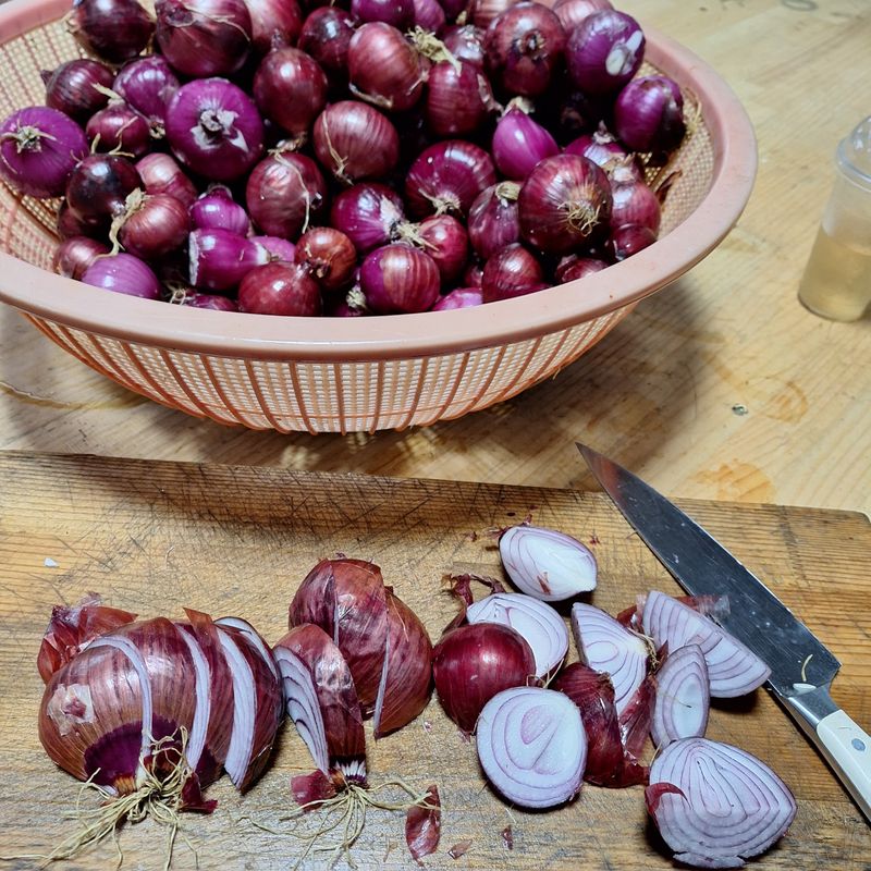 희원님의 장터 판매 상품 [적양파 즙100포 한박스] 첨부 사진