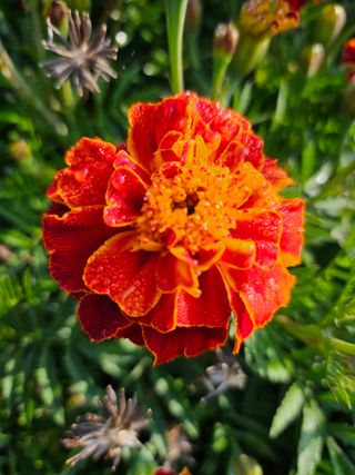 이용일님의 [팜춘문예] 짧은 시 쓰기 · 참여글 작성글 사진