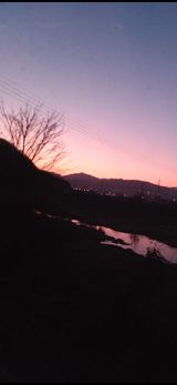 팜모닝 [팜춘문예] 짧은 시 쓰기·참여글 게시글 이미지