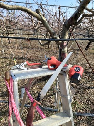 나무 유병구님의 [팜춘문예] 짧은 시 쓰기 · 참여글 작성글 사진