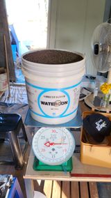 팜모닝 들깨·영농일지 게시글 이미지