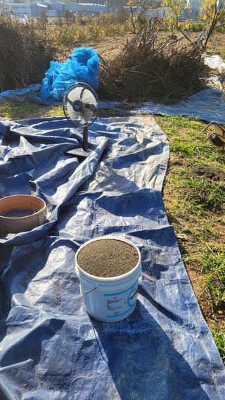 이종선님의 들깨 · 영농일지 작성글 사진