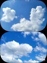 팜모닝 [팜춘문예] 짧은 시 쓰기·참여글 게시글 이미지