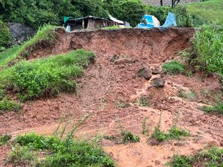 유이사님의 팜모닝 · 출석 작성글 사진