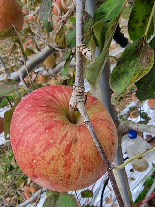 호랑이와인성이님의 작성글 사진
