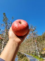 팜모닝 · 게시글 이미지