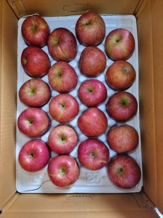 호랑이와인성이님의 작성글 사진