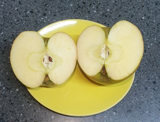 호랑이와인성이님의 작성글 사진