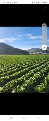 팜모닝 [팜춘문예] 짧은 시 쓰기·참여글 게시글 이미지