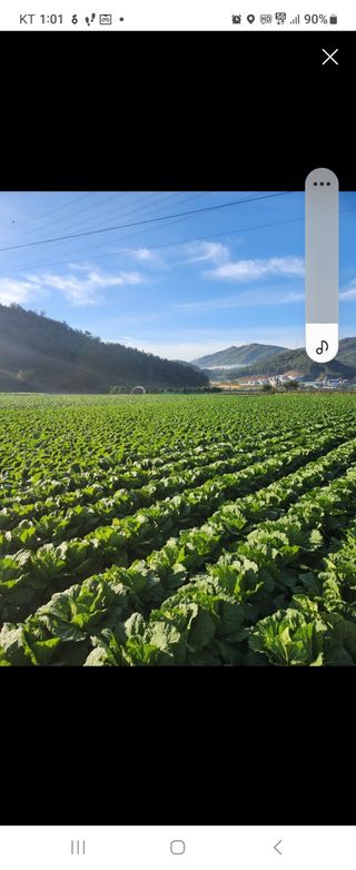 곰실이님의 [팜춘문예] 짧은 시 쓰기 · 참여글 작성글 사진