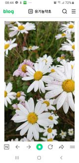 팜모닝 [팜춘문예] 짧은 시 쓰기·참여글 게시글 이미지