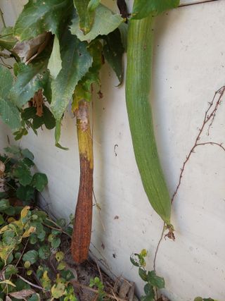 지금은 공돌이님의 기타작물 · 자유게시판 작성글 사진