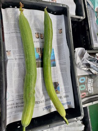 지금은 공돌이님의 기타작물 · 자유게시판 작성글 사진