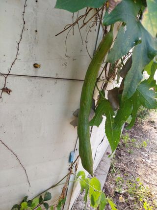 지금은 공돌이님의 기타작물 · 자유게시판 작성글 사진