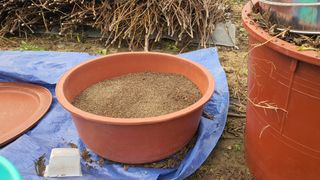 이춘기님의 들깨 · 영농일지 작성글 사진