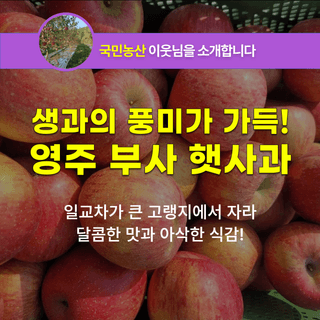 팜모닝 장터님의 장터이야기 · 공지 작성글 사진