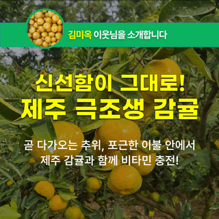 팜모닝 장터님의 장터이야기 · 공지 작성글 사진