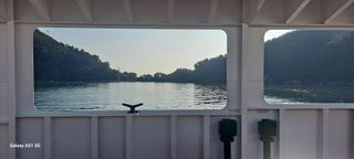 사천시향촌동 돼지띠님의 자유주제 · 자유게시판 작성글 사진