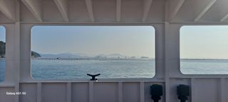 사천시향촌동 돼지띠님의 자유주제 · 자유게시판 작성글 사진