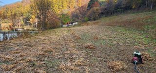 고동옥님의 두릅 · 영농일지 작성글 사진