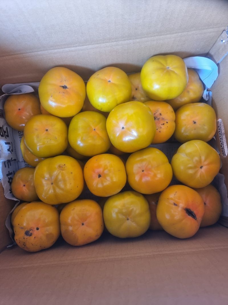 장터 상품 [단감(차랑)] 썸네일