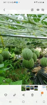 팜모닝 [팜춘문예] 짧은 시 쓰기·참여글 게시글 이미지