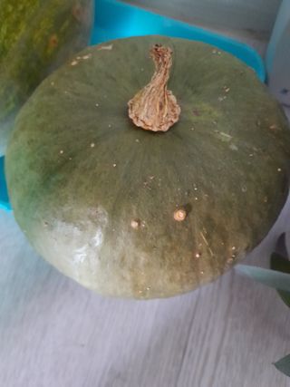 이미옥님의 벼 · 영농일지 작성글 사진