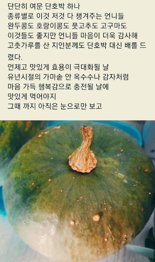 이미옥님의 [팜춘문예] 짧은 시 쓰기 · 참여글 작성글 사진