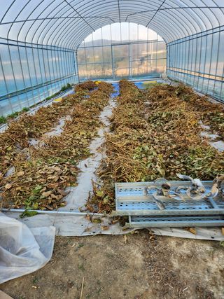 HYUN님의 콩 · 영농일지 작성글 사진