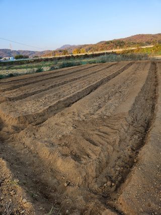 HYUN님의 콩 · 영농일지 작성글 사진