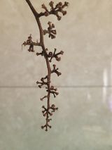 팜모닝 [팜춘문예] 짧은 시 쓰기·참여글 게시글 이미지