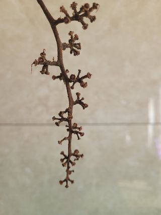 세종 조현진님의 [팜춘문예] 짧은 시 쓰기 · 참여글 작성글 사진