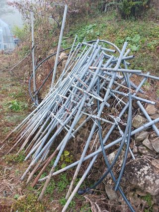 덕촌님의 고추 · 일상 작성글 사진