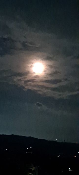 정강화님의 [팜춘문예] 짧은 시 쓰기 · 참여글 작성글 사진