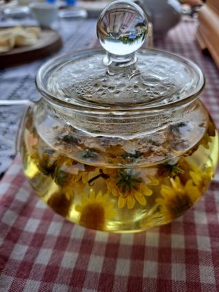 정강화님의 [팜춘문예] 짧은 시 쓰기 · 참여글 작성글 사진