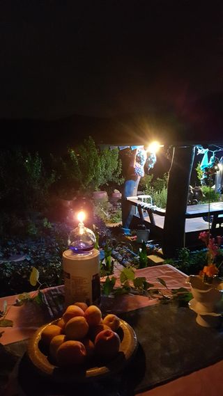 정강화님의 [팜춘문예] 짧은 시 쓰기 · 참여글 작성글 사진