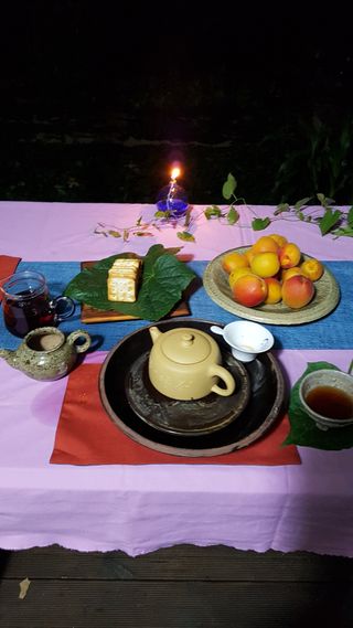 정강화님의 [팜춘문예] 짧은 시 쓰기 · 참여글 작성글 사진