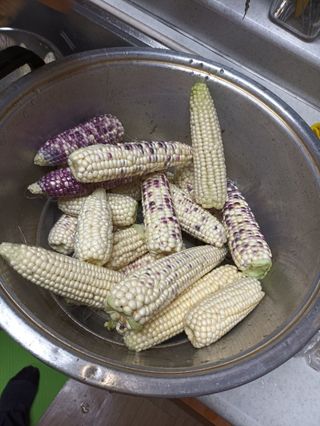 이미숙님의 자유주제 · 자유게시판 작성글 사진