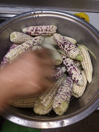 이미숙님의 자유주제 · 자유게시판 작성글 사진