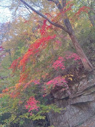 이현상님의 자유주제 · 자유게시판 작성글 사진