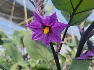 김승희님의 [팜춘문예] 짧은 시 쓰기 · 참여글 작성글 사진