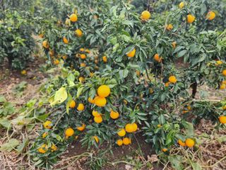 김형철님의 우리동네 · 동네수다 작성글 사진