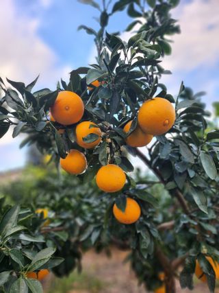 김형철님의 우리동네 · 동네수다 작성글 사진