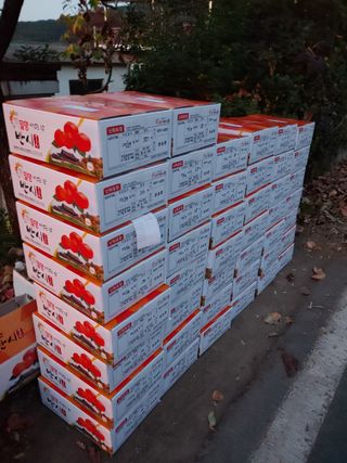 천승준님의 장터이야기 · 자유게시판 작성글 사진