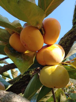 천승준님의 장터이야기 · 자유게시판 작성글 사진