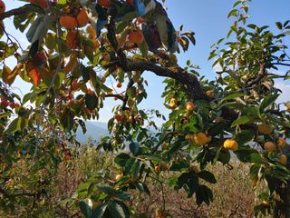 천승준님의 장터이야기 · 자유게시판 작성글 사진