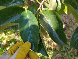 천승준님의 장터이야기 · 자유게시판 작성글 사진